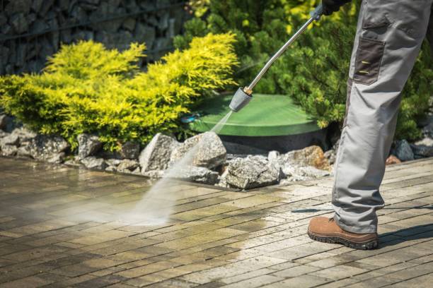 Best Vinyl Siding Pressure Washing in Norris City, IL